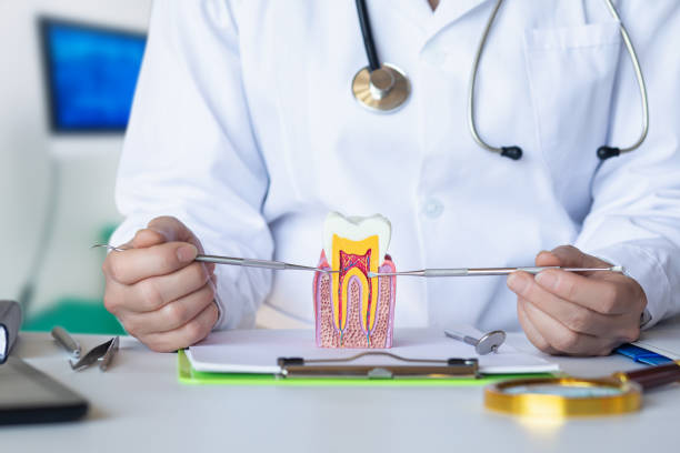 Best Broken or Chipped Tooth Repair in Lake Monticello, VA